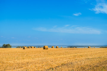 Fototapeta premium Large Piles of Hay Bales