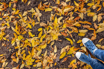 Denim sneakers with yellow fallen leaves on the asphalt path. To