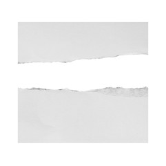 ripped in paper on white , space for copy