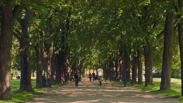 Park with trees