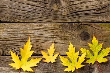Autumn Leaves over wooden background.Fall. Wood With copy space