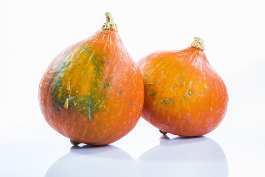 potimarron
