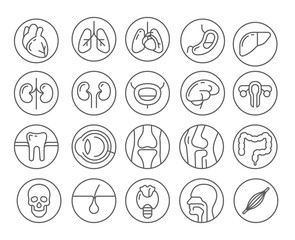 Human organs line icon set