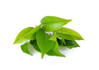 green tea leaf  on white background