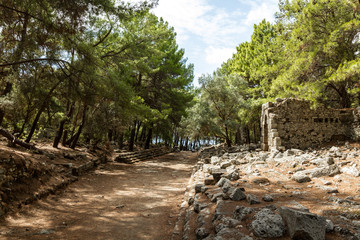 Fototapeta premium the ruins of the ancient city of Phaselis