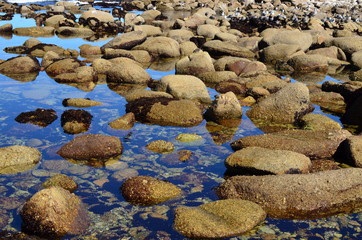 Rocky seaside