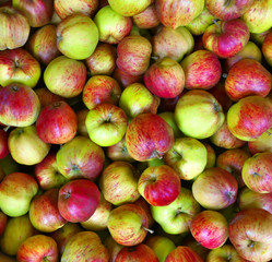 Apples for food industry.