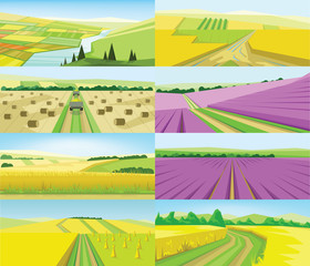 Vector abstract green landscape set with yellow and purple fields, hills and road, flat zigzag style.