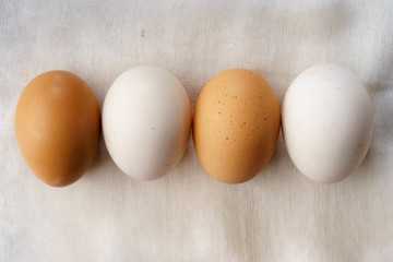 white and brown chicken eggs