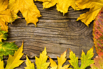 Naklejka na ściany i meble yellow leaf on old wooden background frame from autumn leaves