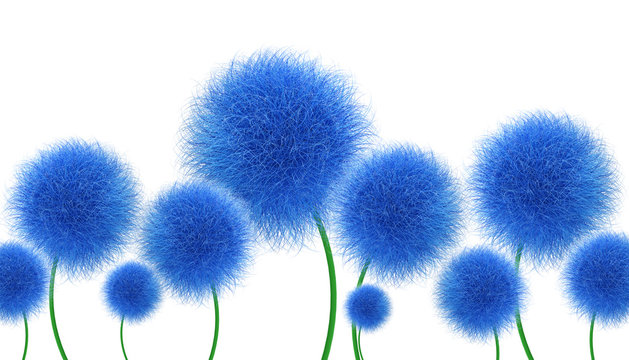 Fototapeta Niebieskie kwiaty na białym tle