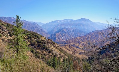Kings Canyon Vista