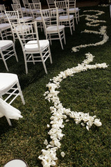 Tender white petals lie on the green grass along white chairs