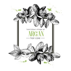 Vector set of hair care ingredients. Organic hand drawn elements. Square border composition. - 123356658