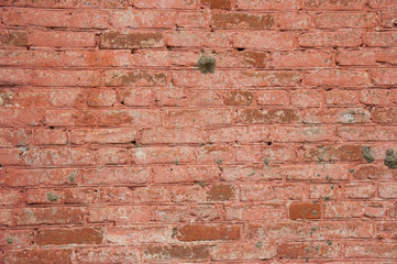 old brick wall