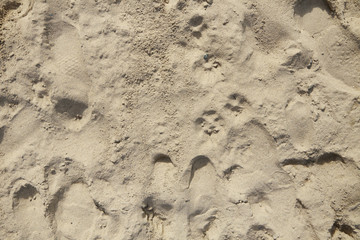 A full page of soft white sandy beach background texture with footprints