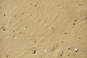 A full page of flat wet sand beach background texture with pebbles