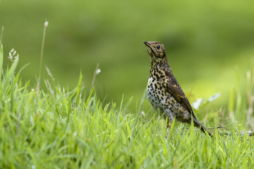 Der interessierte Blick