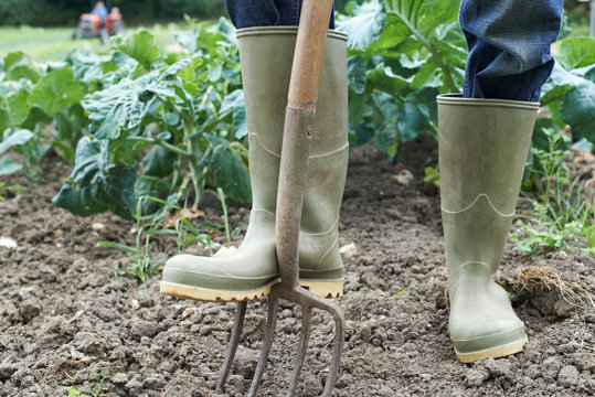 Close Up Of Farmer Working In Organic Farm Field - Powered by Adobe