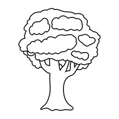 big tree with branches and leaves vector illustration