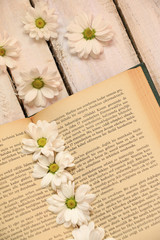 Fototapeta premium Book and flowers