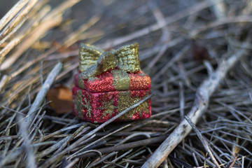 A little Christams present on wooden 