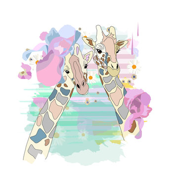 Abstract watercolor illustration of two cool girls giraffe in fashion flower hats, background of colorful spots isolated on white, color vector prints, pattern  animals