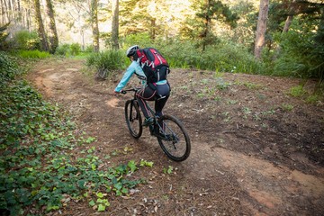 Fototapeta na wymiar Female mountain biker riding bicycle in the forest