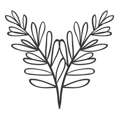 pair of branches with oval leaves vector illustration