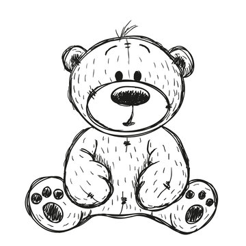 Drawing Teddy bear