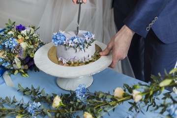 Bride and groom at wedding cutting the  cake