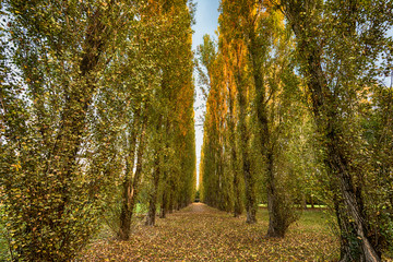 Parco in autunno