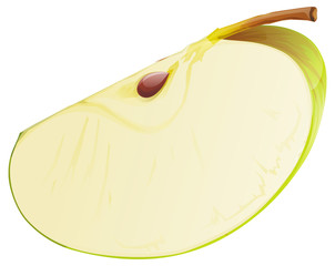 Realistic slice of green apple