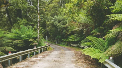 Poster Im Rahmen Straße durch den Regenwald in Victoria - Australien © kentauros