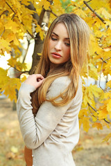 Naklejka na ściany i meble Beautiful young girl in autumn park, outdoors