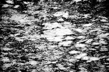 Naklejka premium Black and white old wood grain texture background 