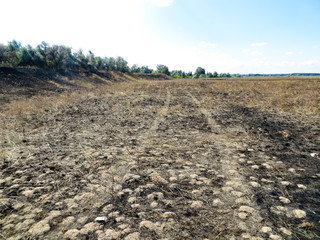 Burnt grass on a meadow on autumn