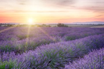 Plakat Sunset in Provence