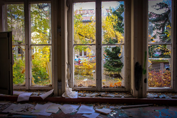 The Window