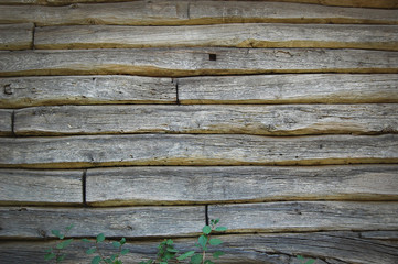 Obraz premium Old wooden fence. wood palisade background. planks texture