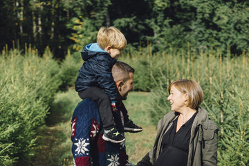 Family buying a Christmas tree in the wood