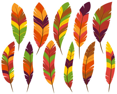 Turkey Feather Images – Browse 54,529 Stock Photos, Vectors, and Video