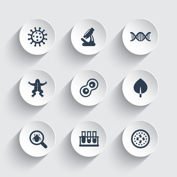 Biology icons set, cell, test-tubes, frog dissection, virus, microbe, microorganism, vector illustration