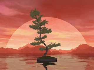 Scotch Pine Bonsai-Baum - 3D-Darstellung © Elenarts