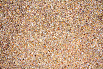 Wall of small sand stone texture. Pebbles and sand wall texture.