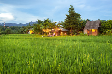 Home Field at Mea La Noi City in Mae Hong Son , Thailand