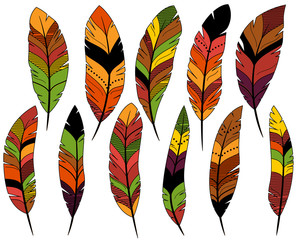 Thanksgiving or Fall Colored Turkey Feathers