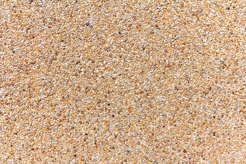 Wall of small sand stone texture. Pebbles and sand wall texture.