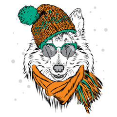 Cute dog wearing a hat and sunglasses. Vector illustration for greeting card, poster, or print on clothes. Pedigree dog. Collie. Winter, Christmas and New Year.