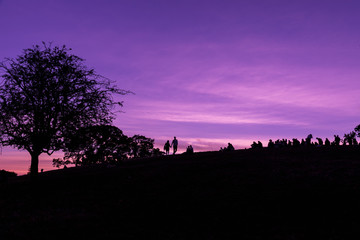 Silhouette of Primrose Hill in London